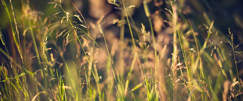 #htmlcaption-0 Research with us